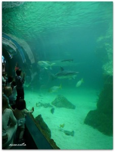zoo_aquarium